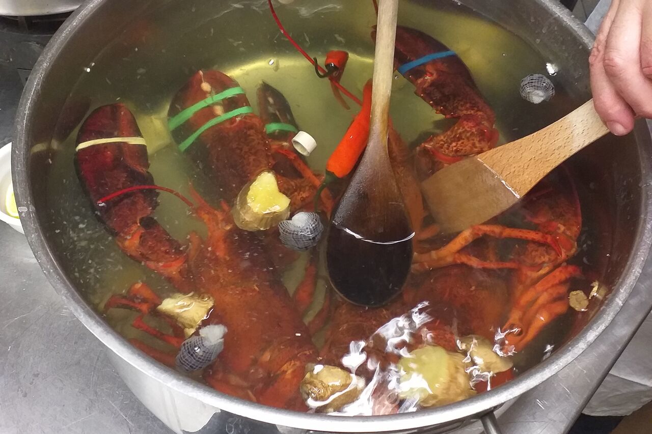 4. 11. Vaření humrů- zážitková akce