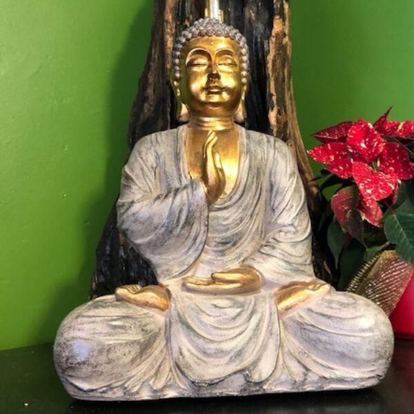 Sous un œil bienveillant 