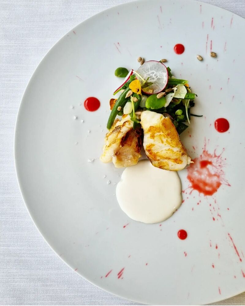Rana pescatrice, crudo e cotto di primavera, agro di lampone, burrata e semi di girasole