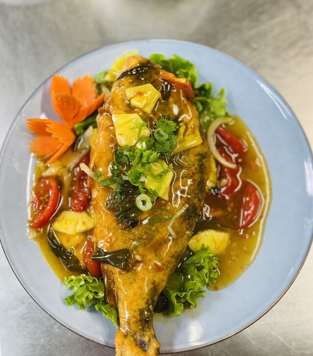 Daurade cambodgienne 