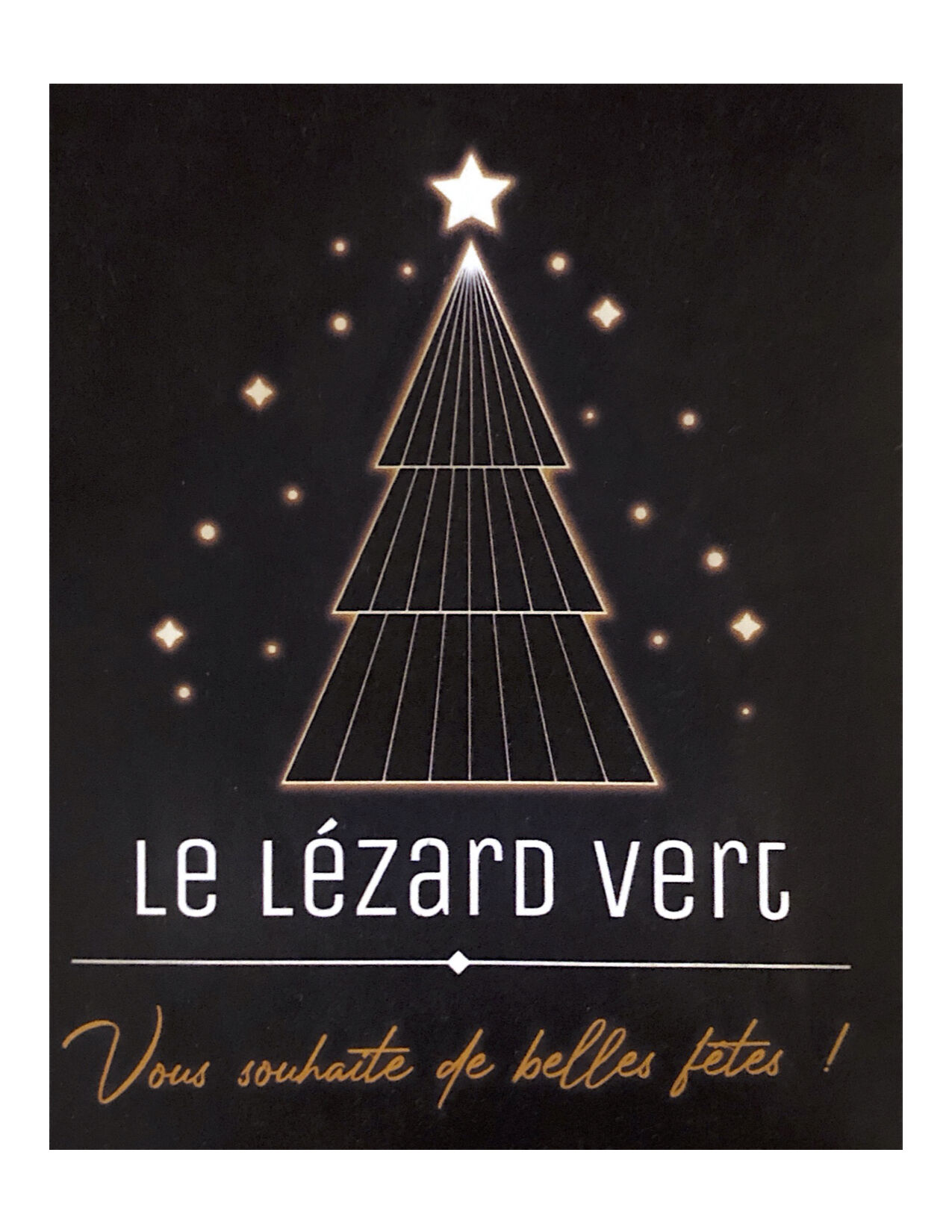 Le Lézard Vert vous souhaite de belles fêtes ! 🎄🎉🎅