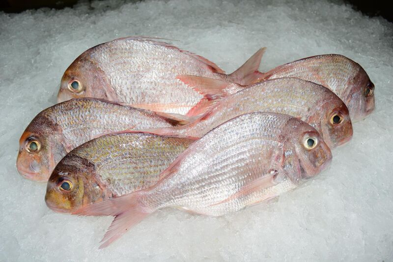 Dorade royale 16.00 € kg 