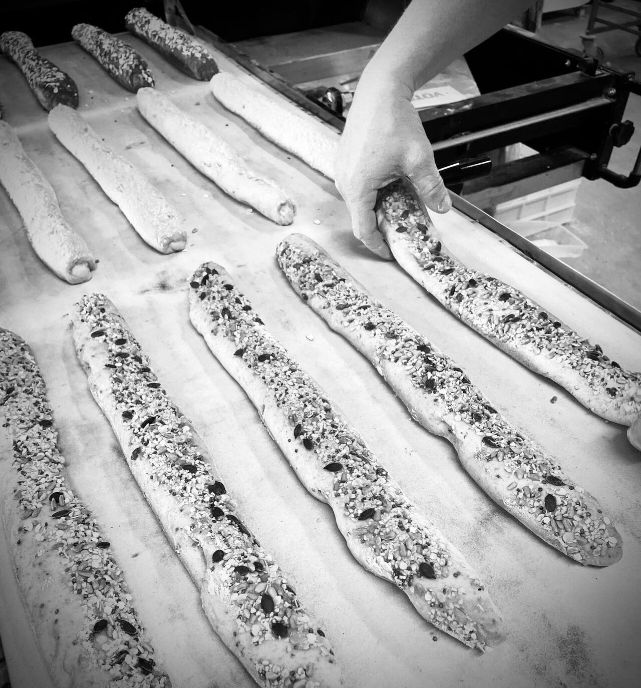 Baguette N°7
~ Contient mois de gluten par rapport à une baguette classique
~ Recommandé pour ses valeurs nutritionnelles.
