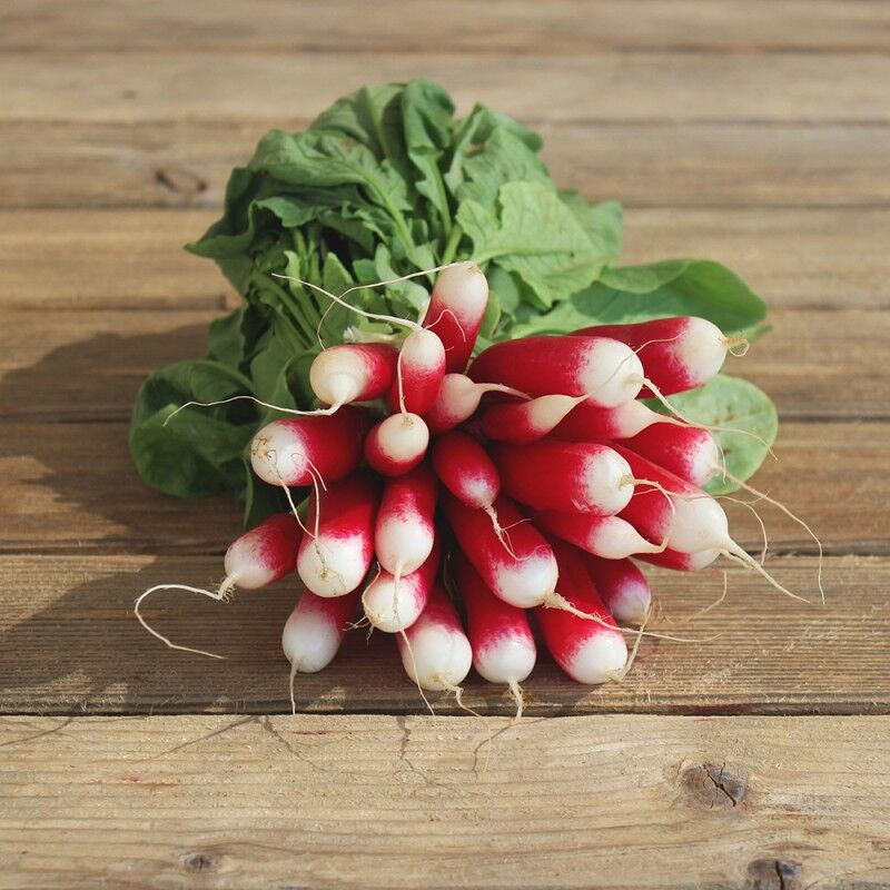 Radis roses botte - 0,94€
