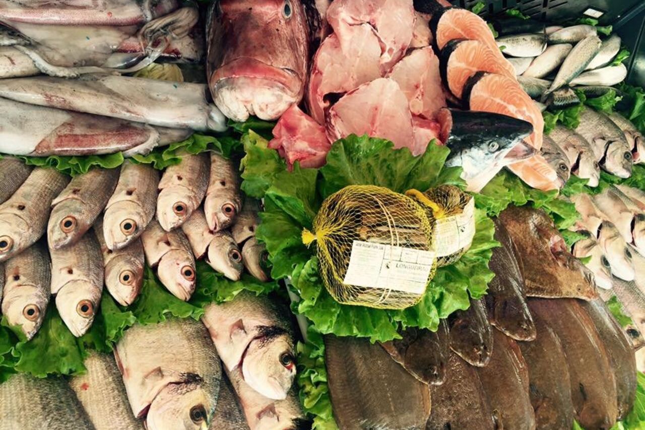 O melhor peixe da costa