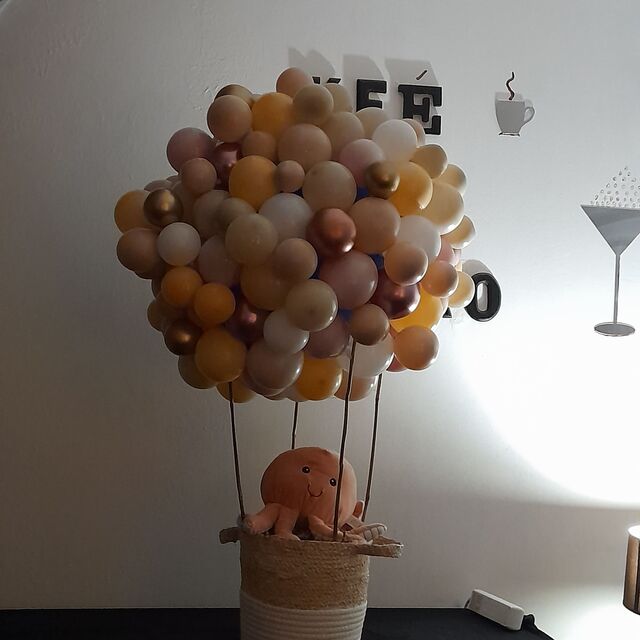 Départ en montgolfière pour la jolie princesse