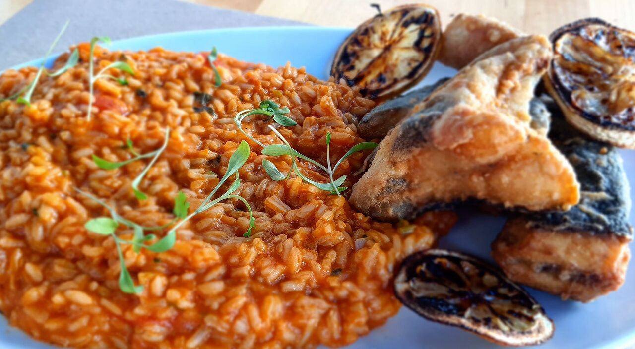 Pregado Frito Com Arroz de Tomate