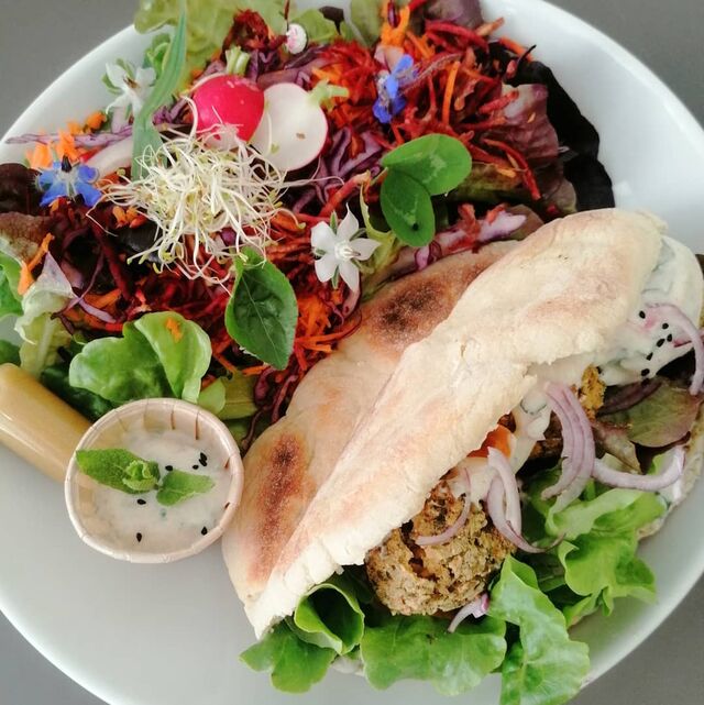 Pita Maison, falafels, sauce au yaourt et à la menthe, salade composée