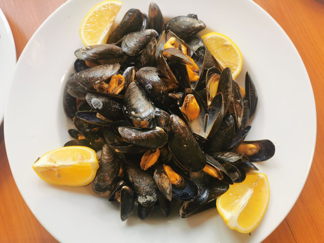 Muscheln Zeit