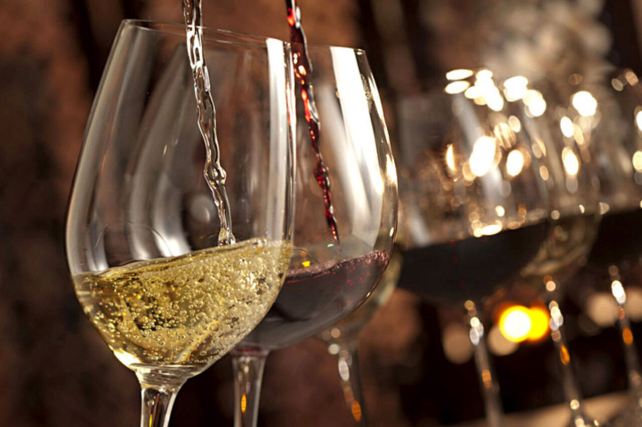 Dégustation de la cuvée 2019 Les blancs