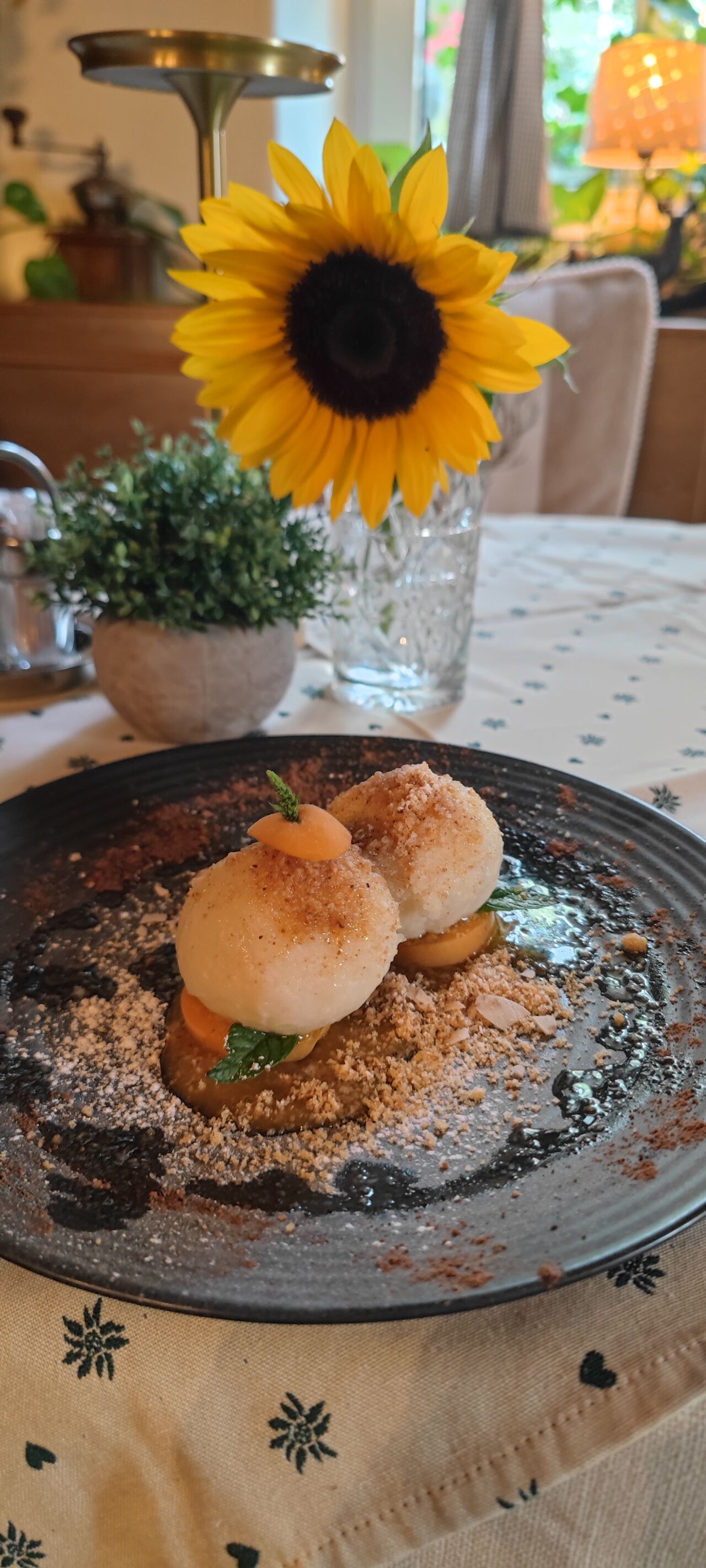 MARILLENKNÖDEL MIT TOPFENTEIG