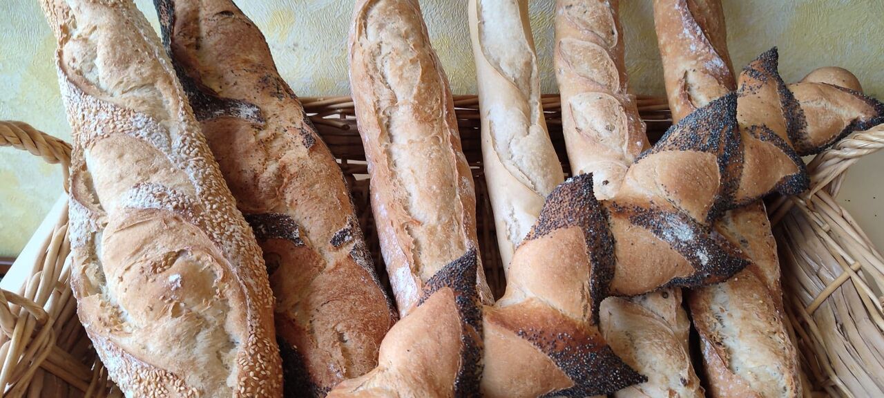 Baguette pointue (pavot et au sésame)
Baguette graines
Baguette campagne
Baguette épeautre
Baguette tradition
Epi au pavot
