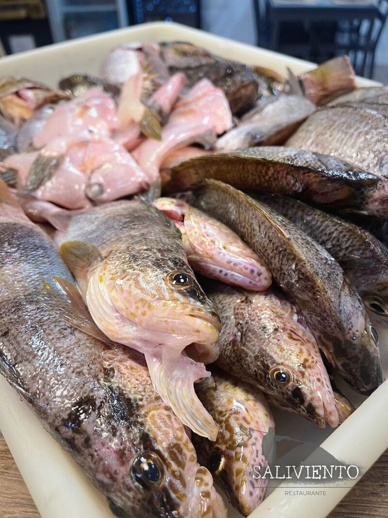 Pescado de las costas de Castillo del Romeral