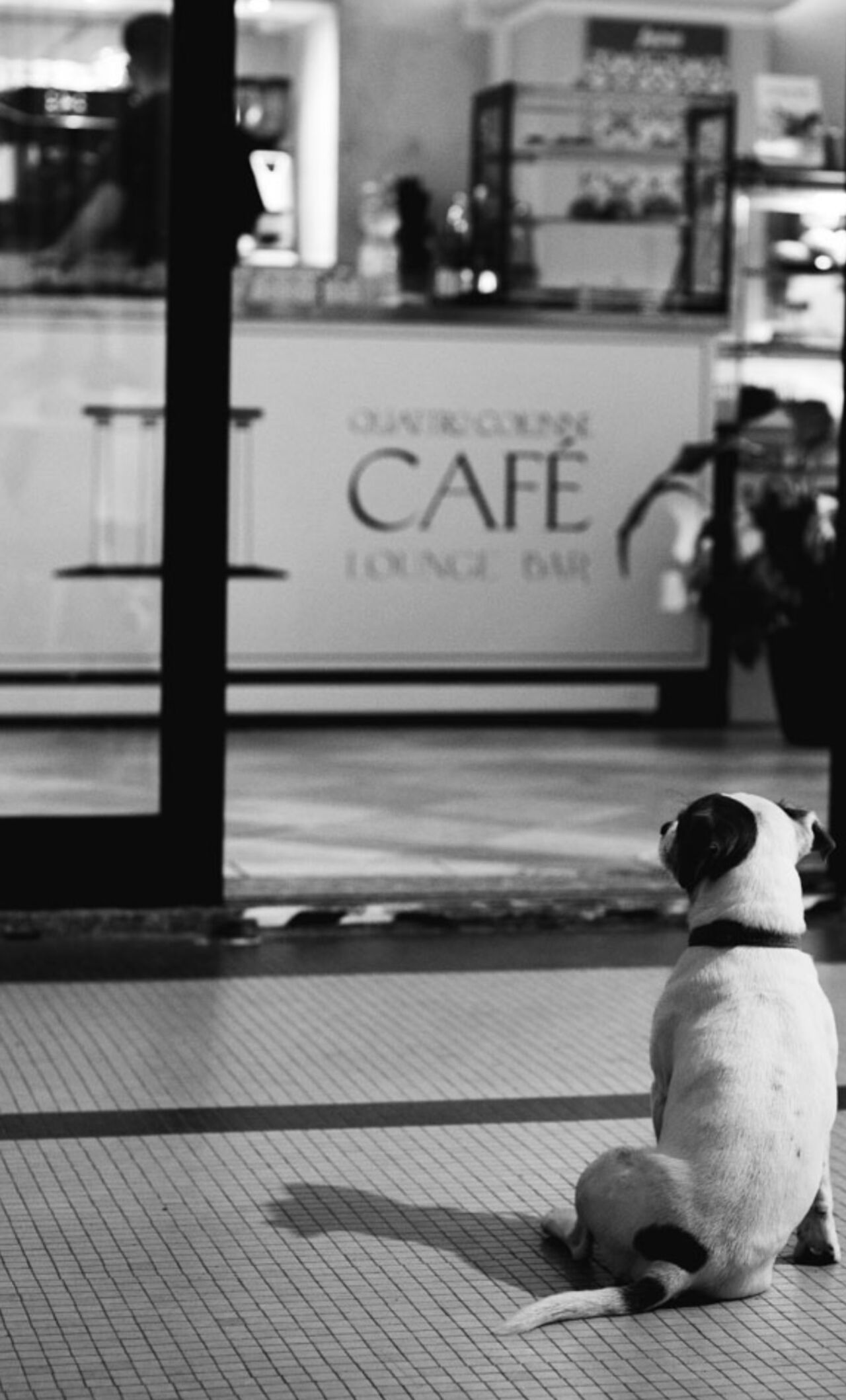 La nostra mascotte🐶