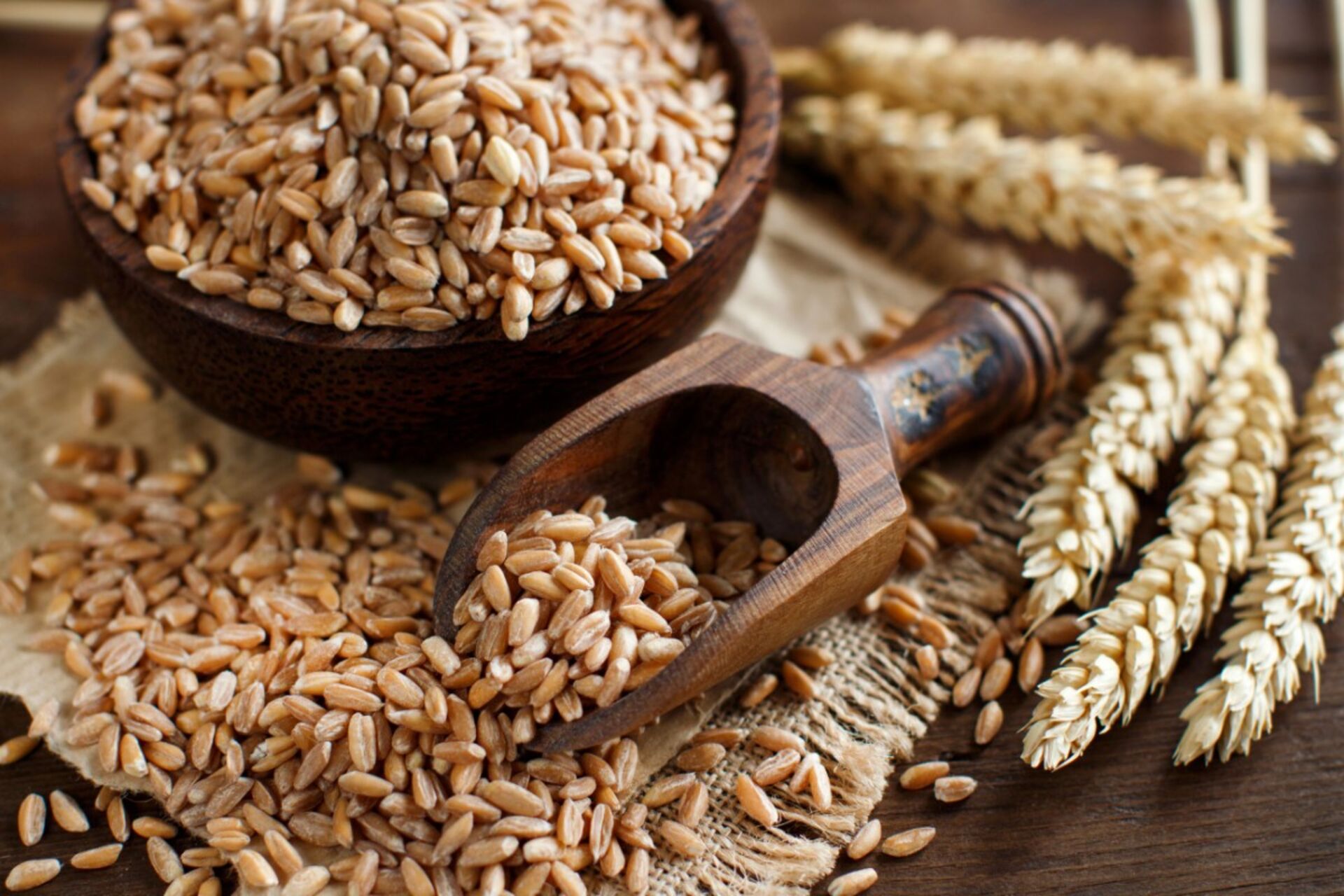 Assaggia il nostro IMPASTO AL FARRO