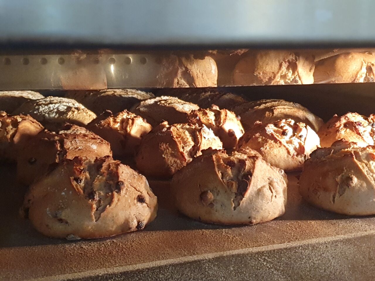 Pain raisins-noisettes (cuisson en cours)