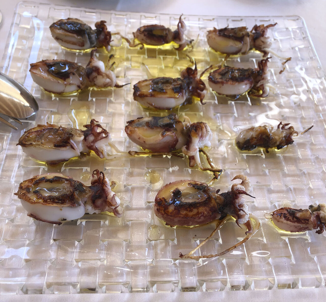 SEPIONET DE LA PUNTXA