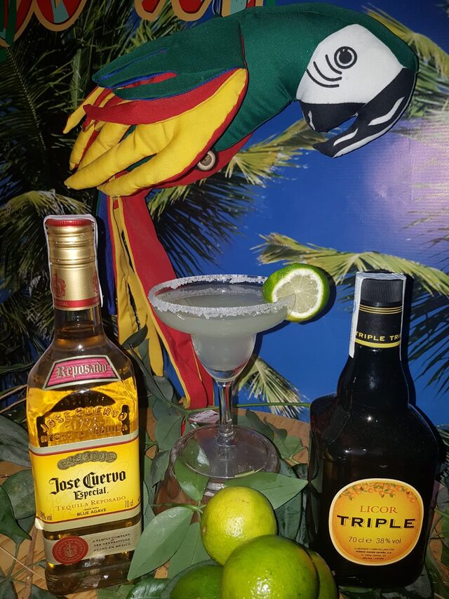 MARGARITA: para 1 persona.
Tequila y triple seco.