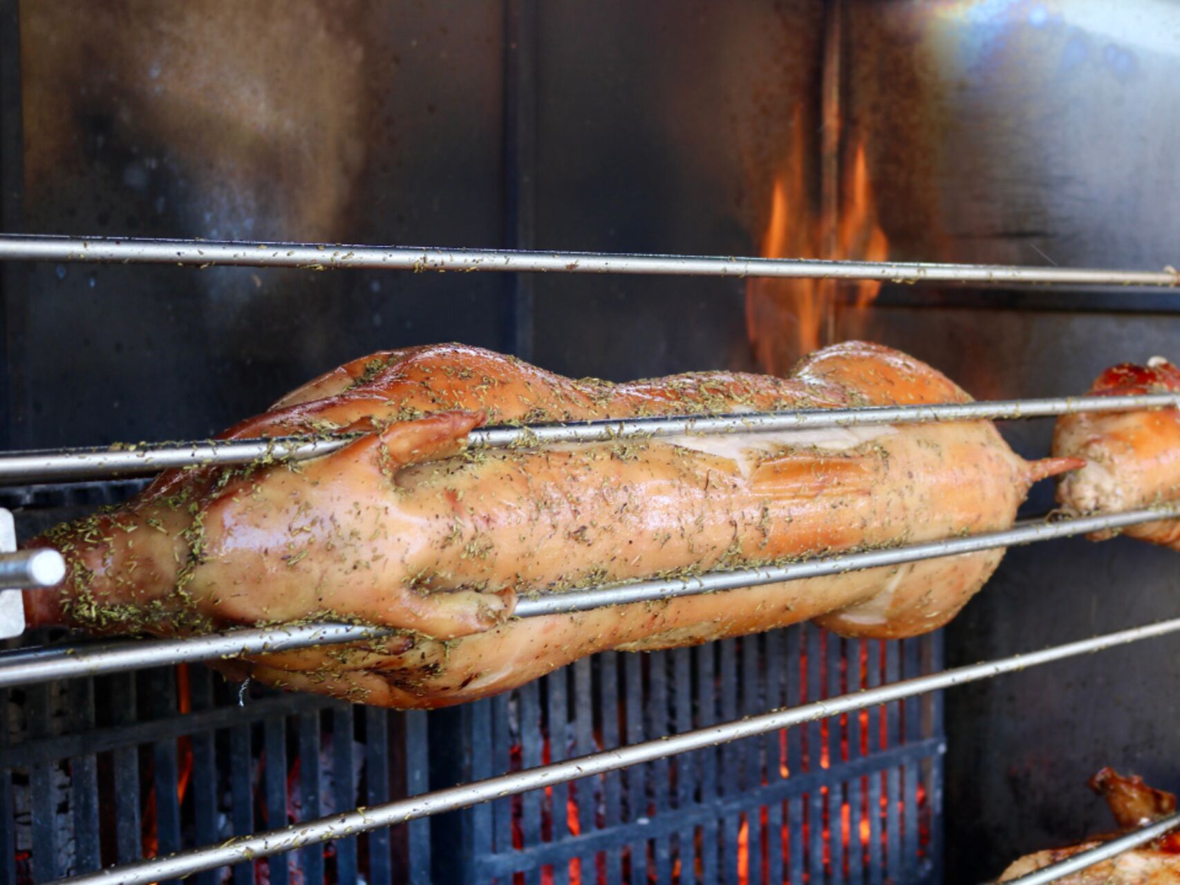 Les cochon de lait entier 🐖