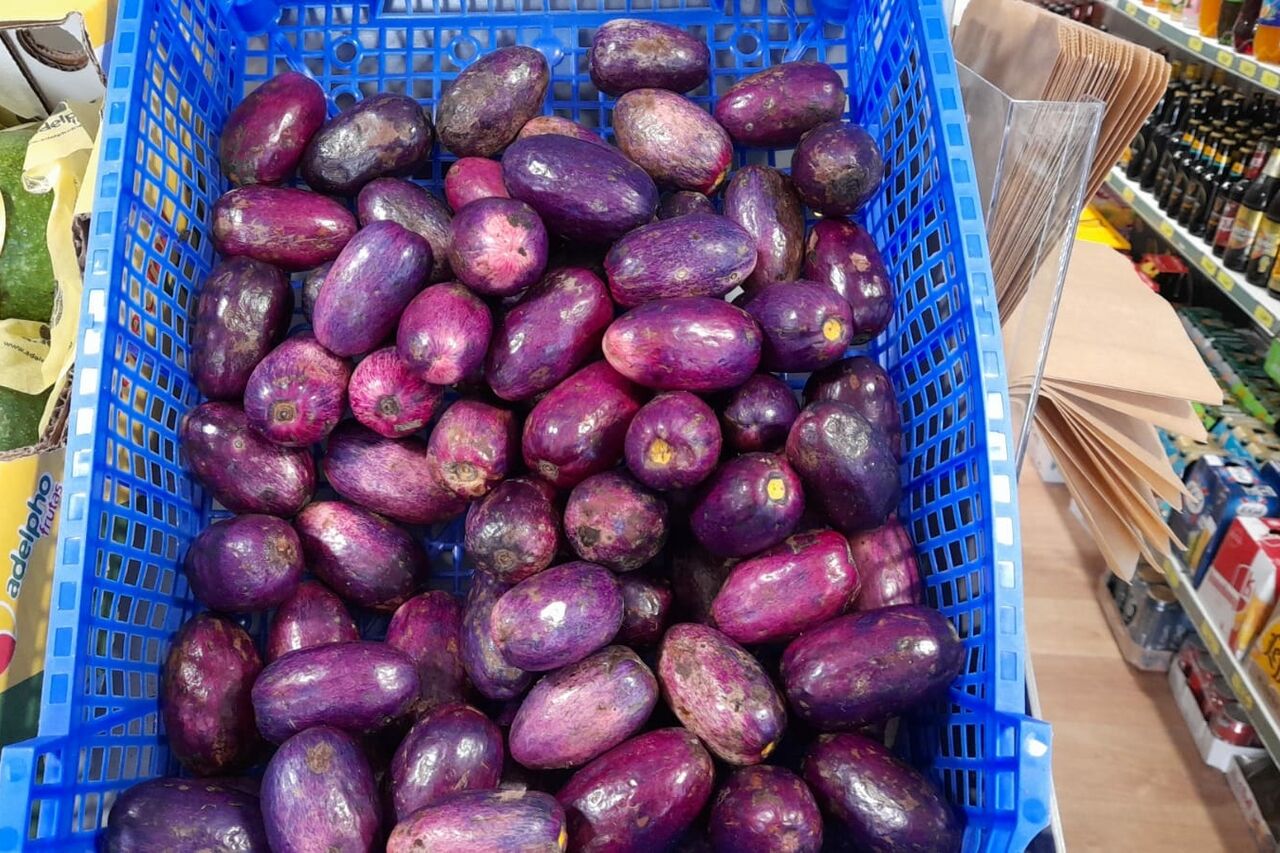 BOUTIQUE EXOTIQUE NANTES