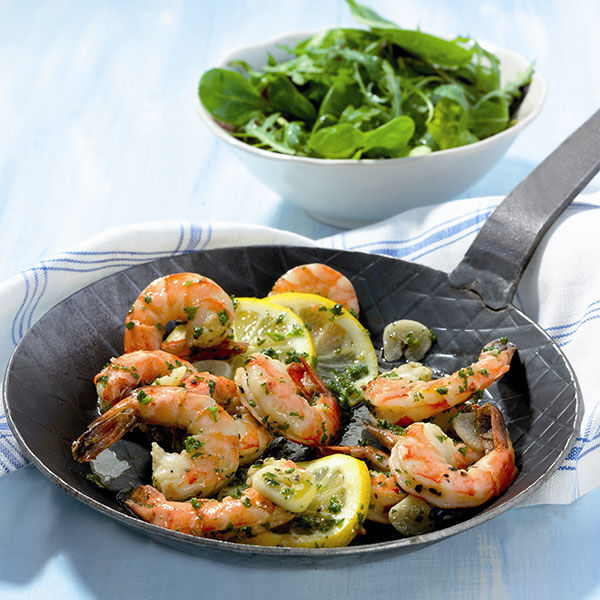 SCAMPIS AIL