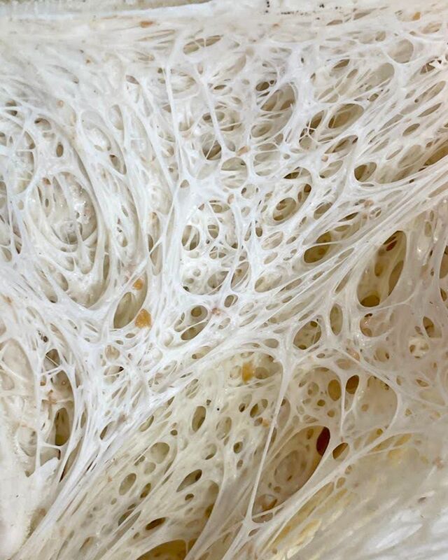 Pura Pizza Eusebio Estada Palma Restaurant