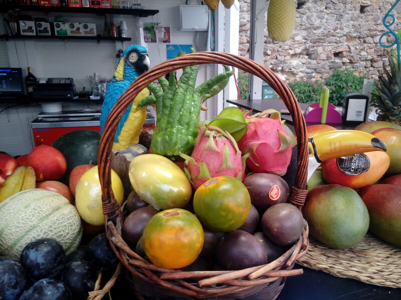 Exóticos del Mundo!