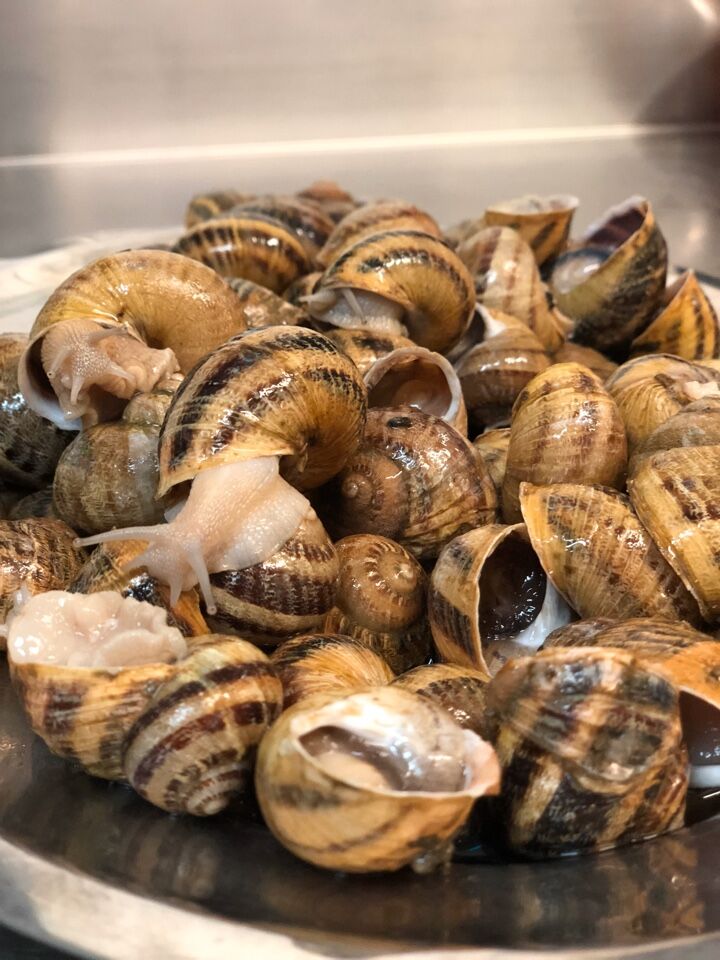 Lumache di Cherasco