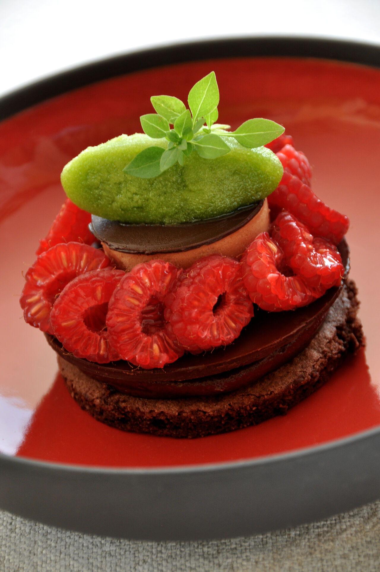 Chocolat, framboise et glace 