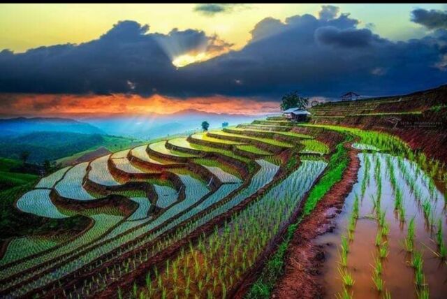 Faites partie du voyage culinaire a travers la l'Asie ??
