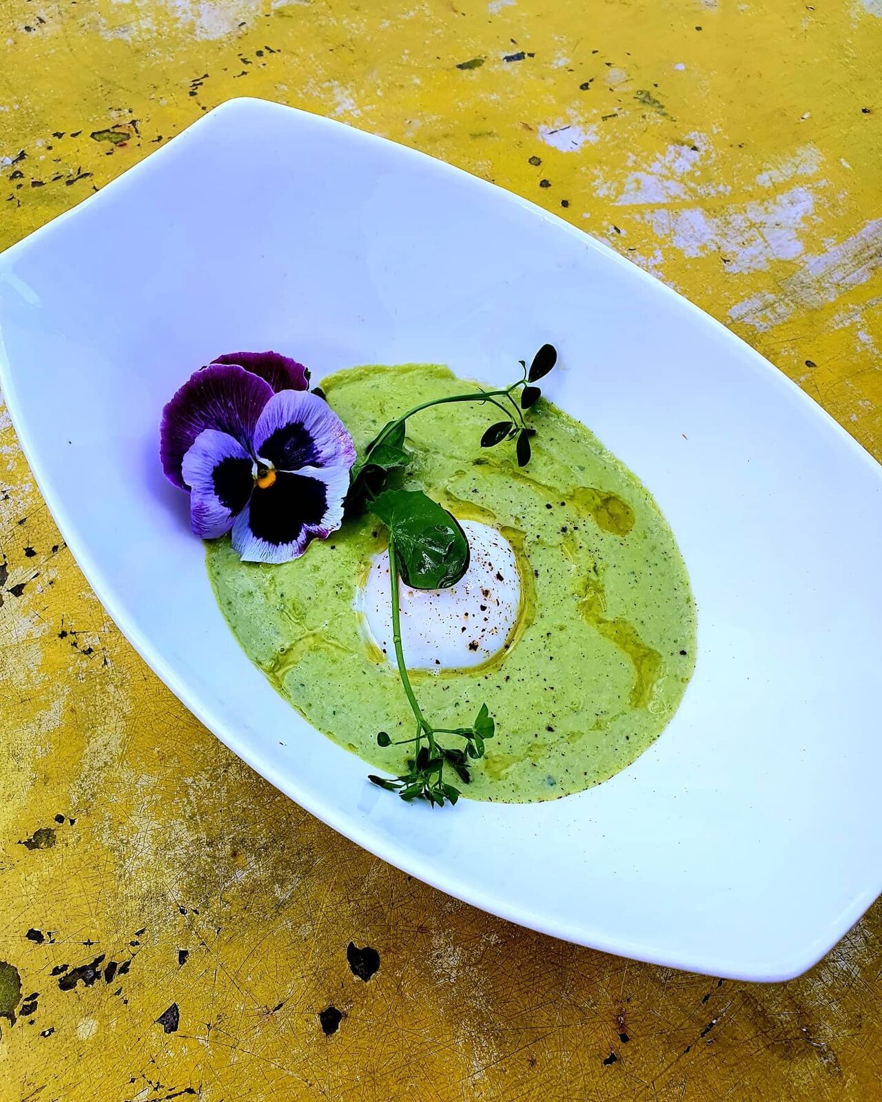 Oeuf parfait & velouté de petit pois