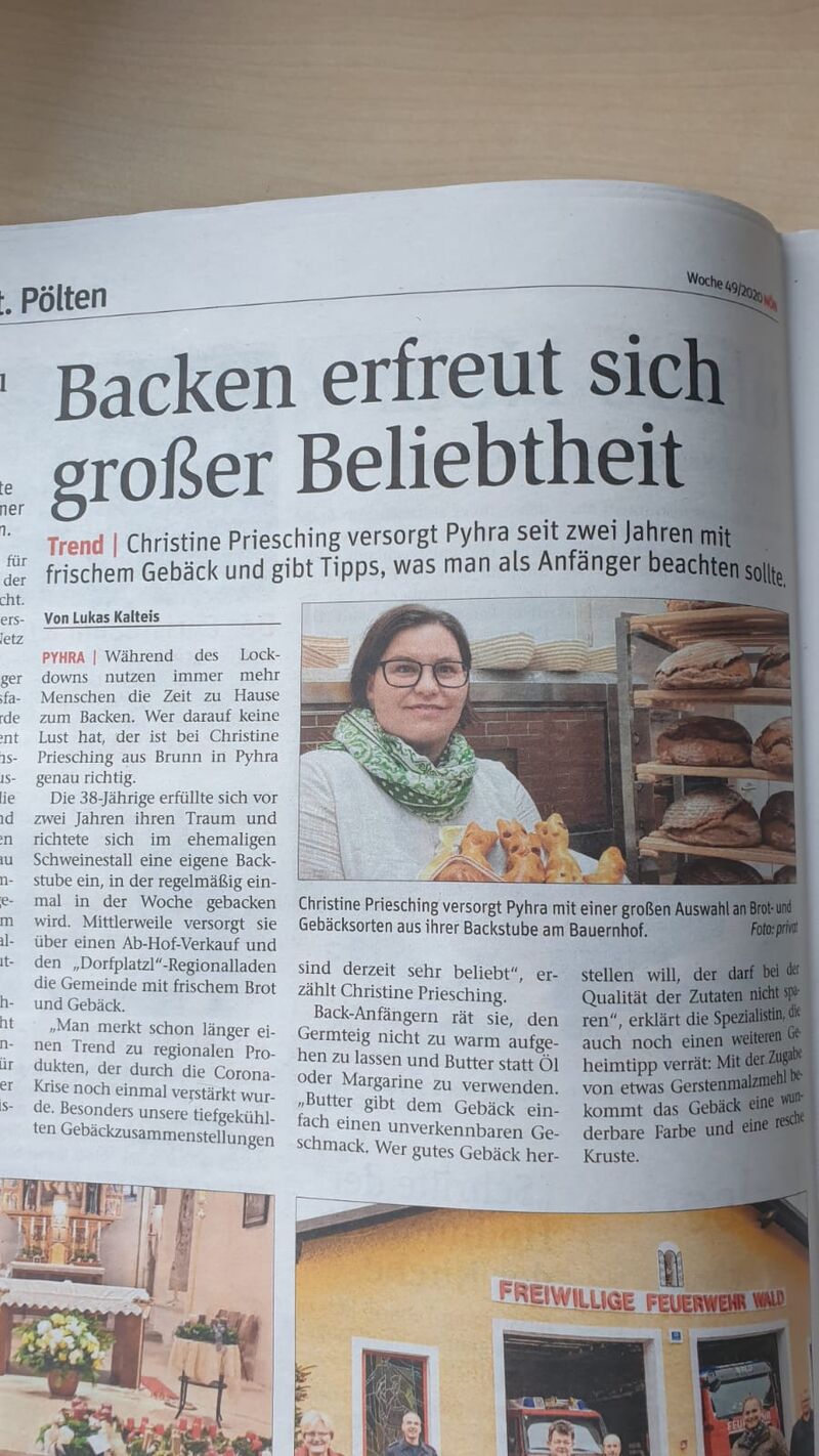 Bericht in der NÖN