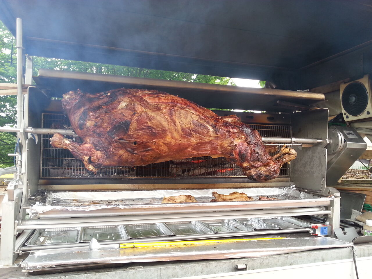 Veau entier roti au feu de bois