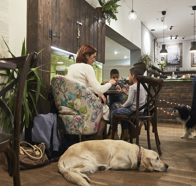 Az Év Kutyabarát Kávézója díjat 3x is megnyertük