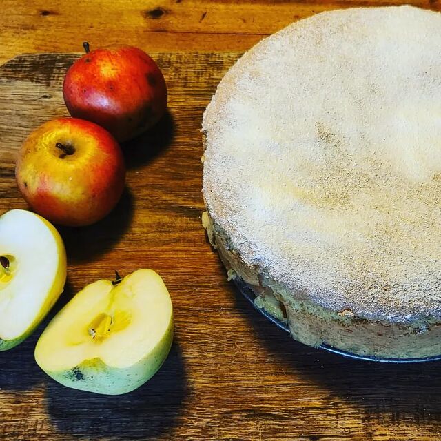 Biscuit de Savoie : gâteau moelleux aux pommes
