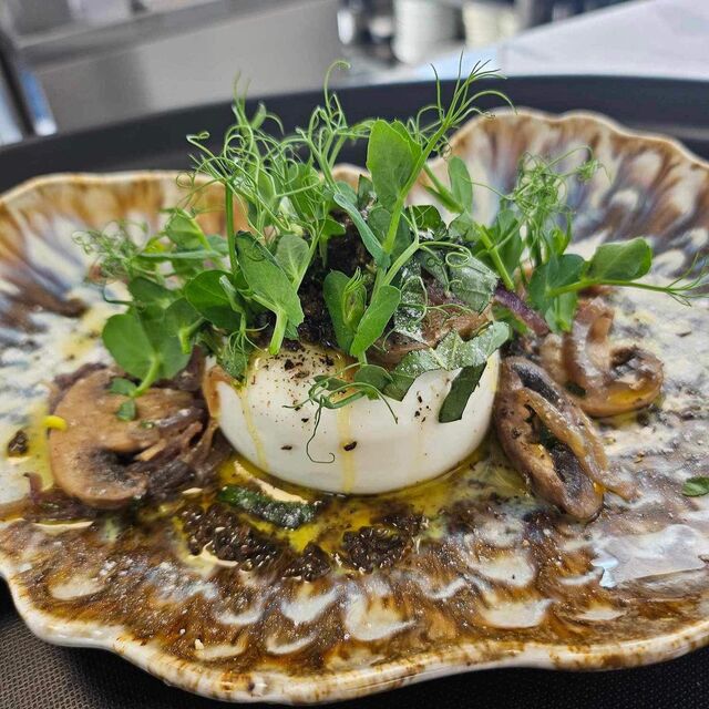 Burrata Crémeuse, poêlée de champignons, jus truffé