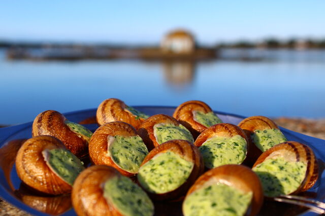 Assiette d'Escargots en coquille au beurre persillé