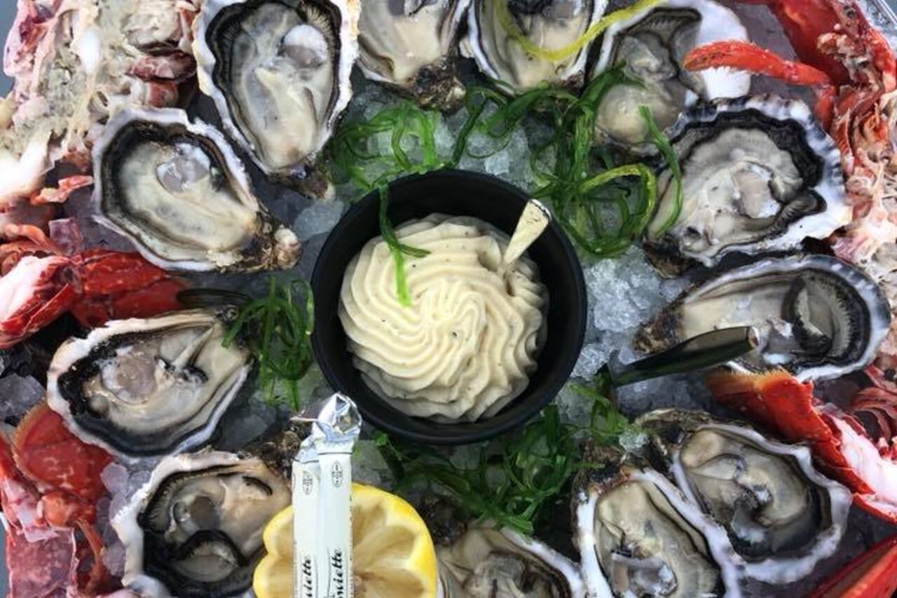 Venez nous rendre visite !