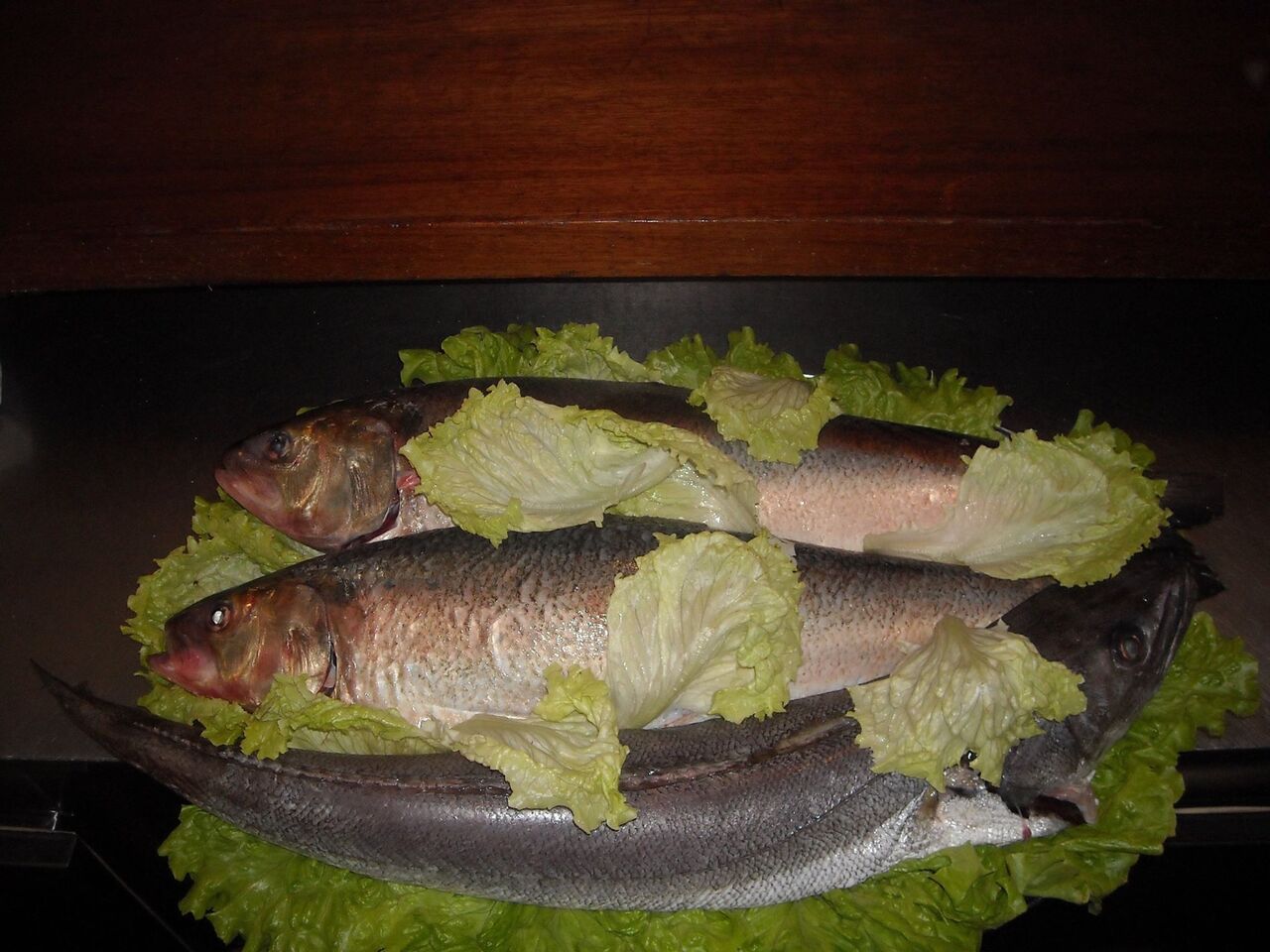 SÁVEL