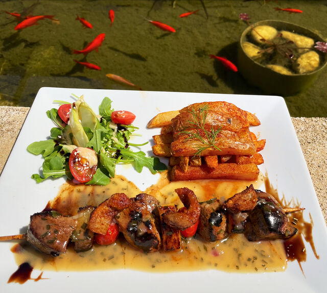 Brochette de magret de canard