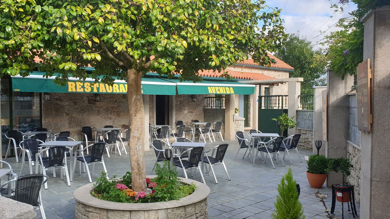 VISTAS DE NUESTRA TERRAZA