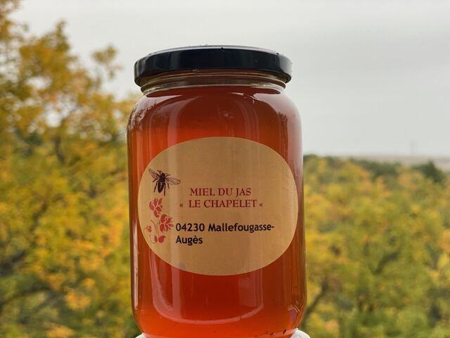 Miel apiculteur CASTELLI 