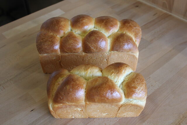Brioche Nanterre nature