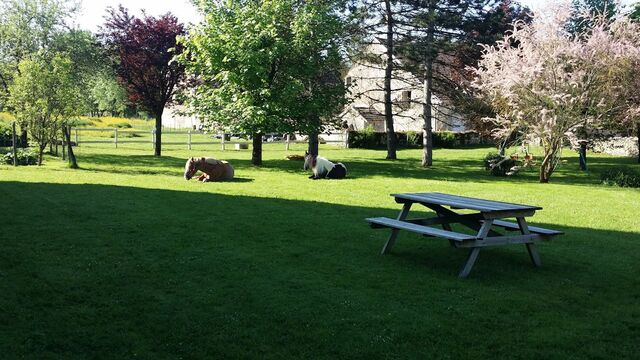 Jardin de la Tourelle
