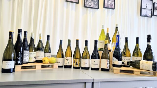 Selección de vinos Gallegos