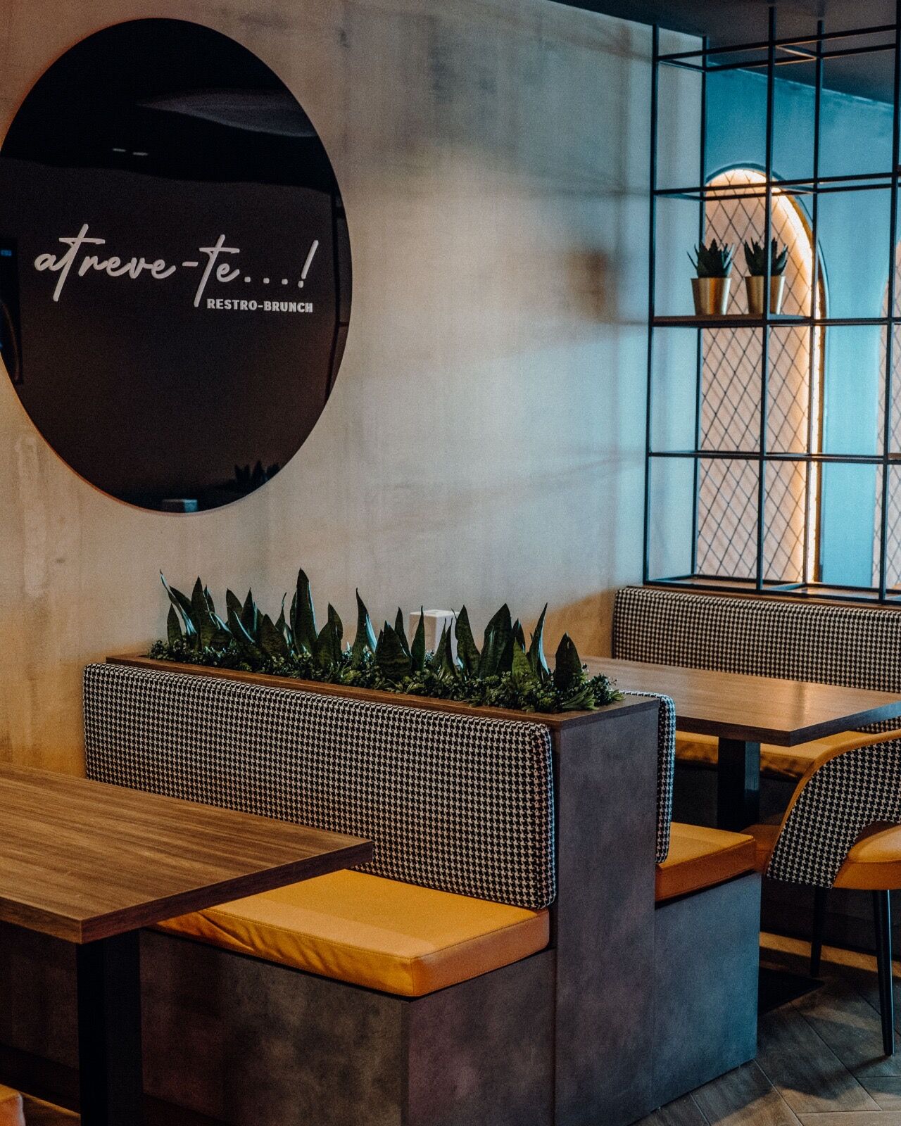 Ficaste curioso? Então atreve-te a experimentar!