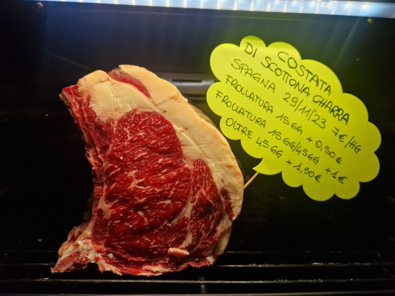 COSTATA DI SCOTTONA CHARRA SPAGNA