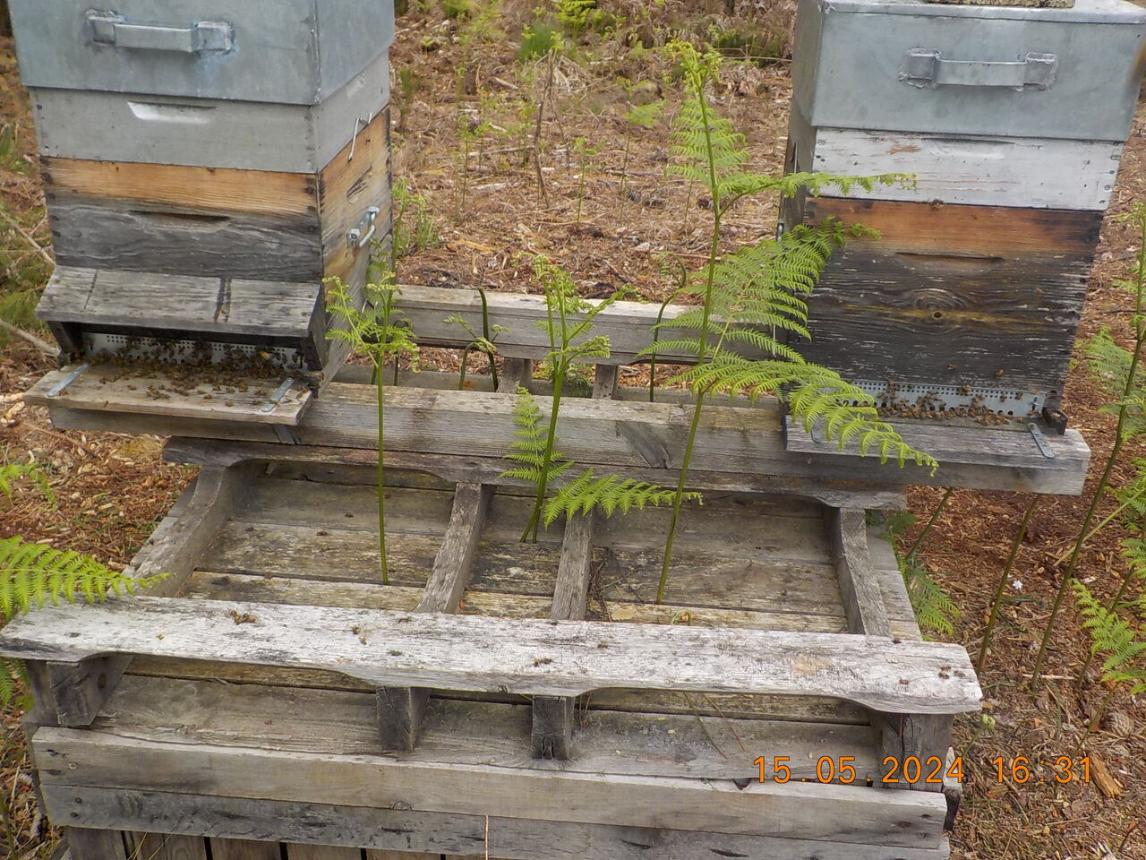 Planche d'Envol N°2