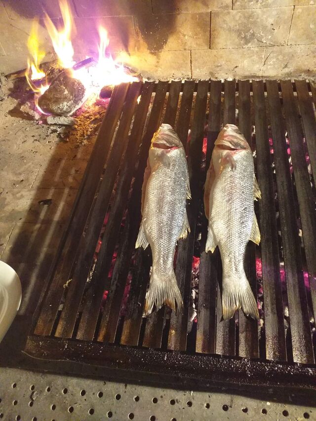 Brancini na gradelama