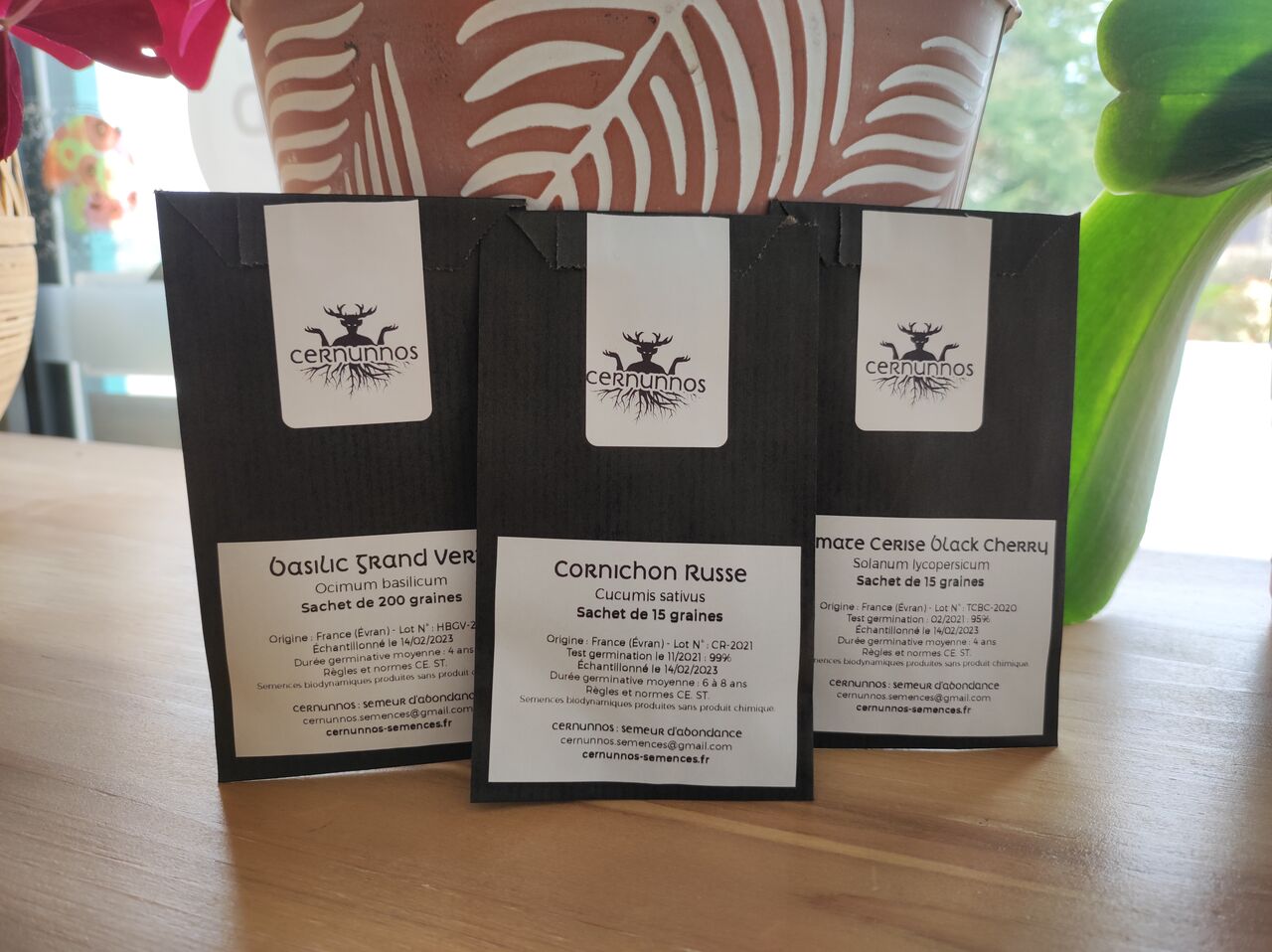 Graines Cernunnos à Evran